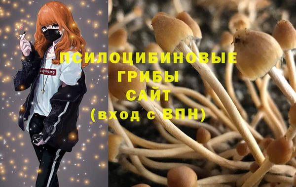 ГАЛЛЮЦИНОГЕННЫЕ ГРИБЫ Нея