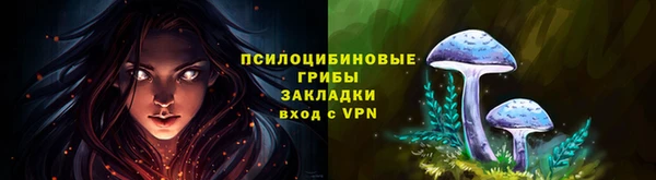 дживик Новокубанск