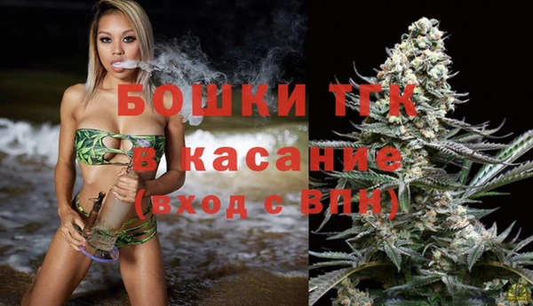 стаф Вязники