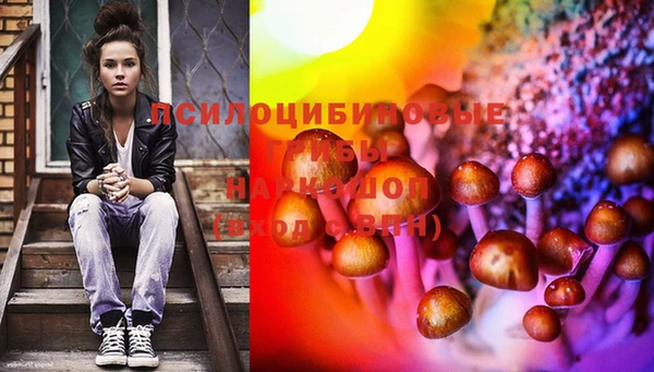 индика Туринск