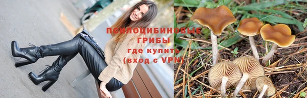 дживик Новокубанск