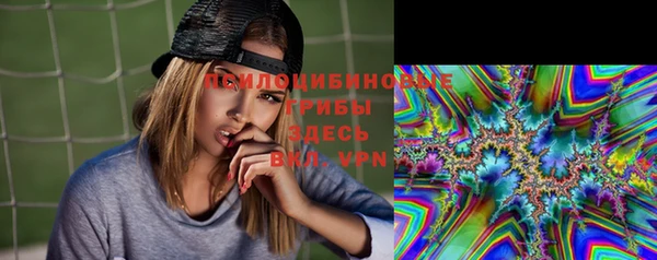 дживик Новокубанск