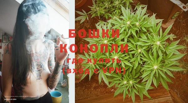 мяу мяу мука Новозыбков