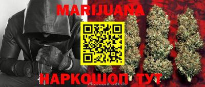 крисы Аргун