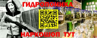 крисы Аргун