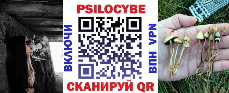 закладки  Нарьян-Мар  Галлюциногенные грибы Psilocybe 