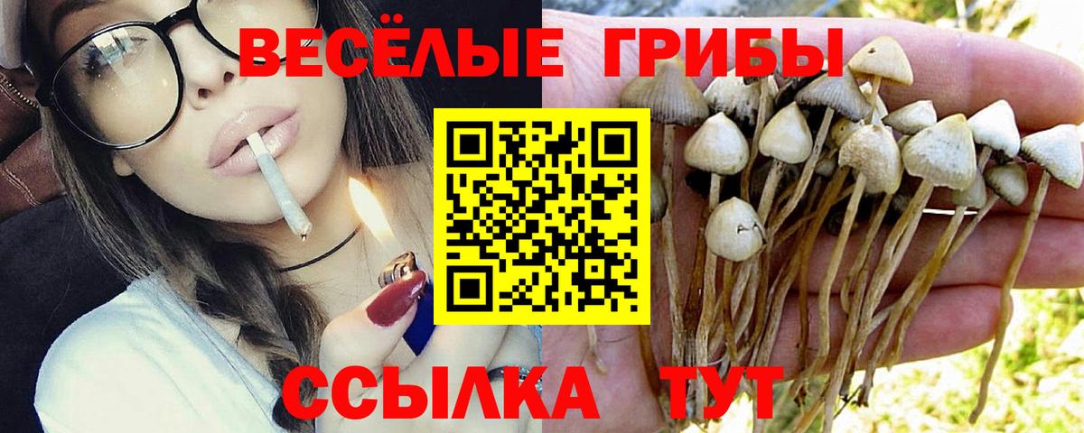 где можно купить   Псилоцибиновые грибы ЛСД  Вход с VPN  Нарьян-Мар 