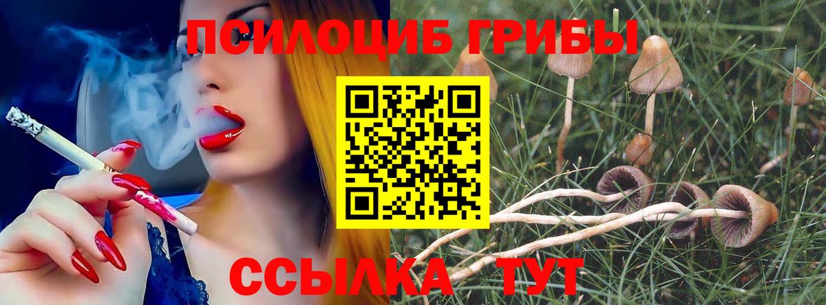 Галлюциногенные грибы GOLDEN TEACHER  Нарьян-Мар 